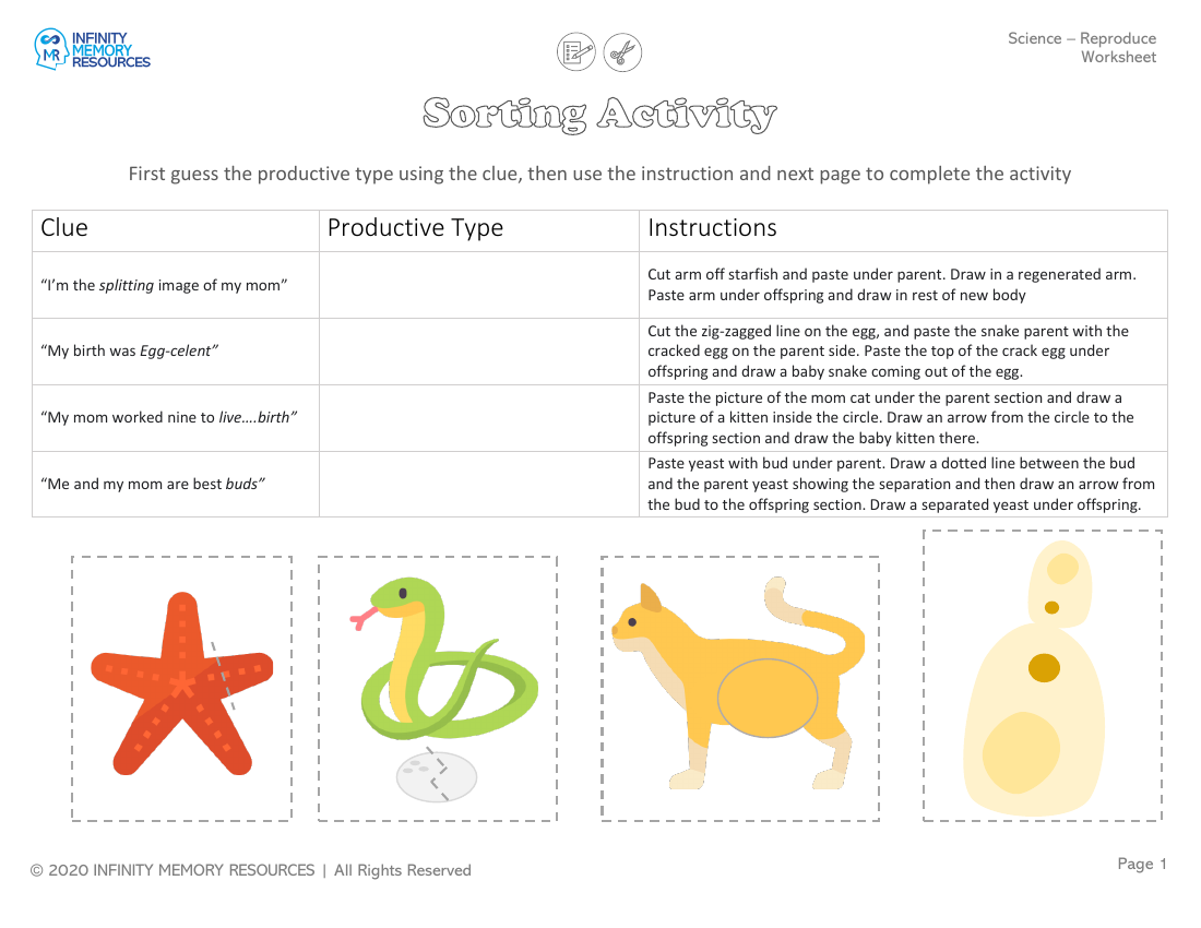 Reproduce - Worksheet