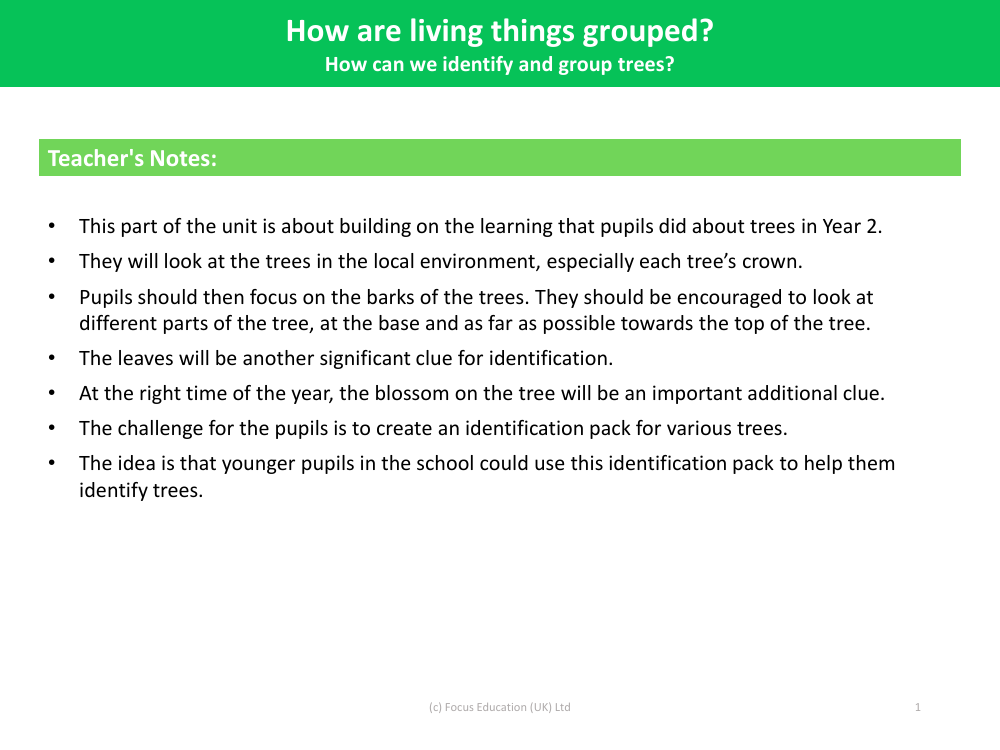 How can we identify and group trees? - Teacher's Notes