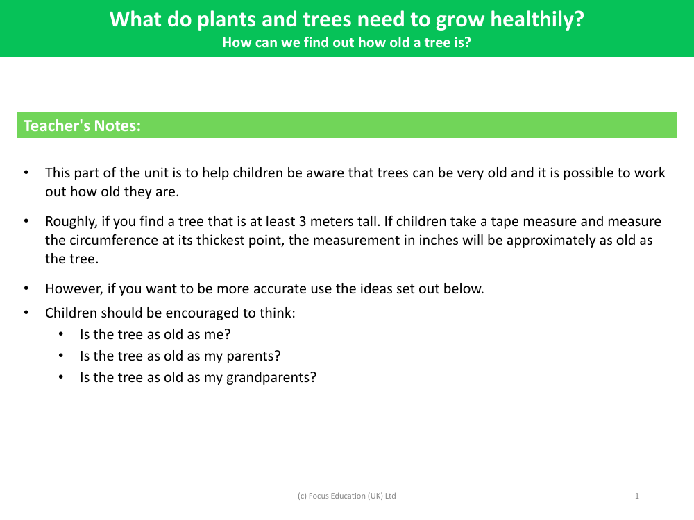 How can we find out how old a tree is? - Teacher's Notes