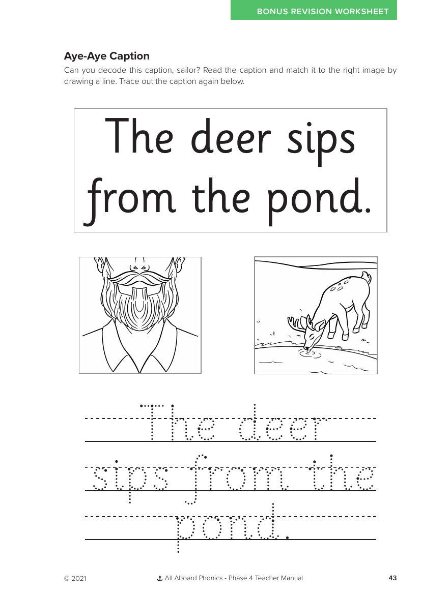 Week 2, lesson 5 Aye-Aye Caption activity - Phonics Phase 4 - Worksheet