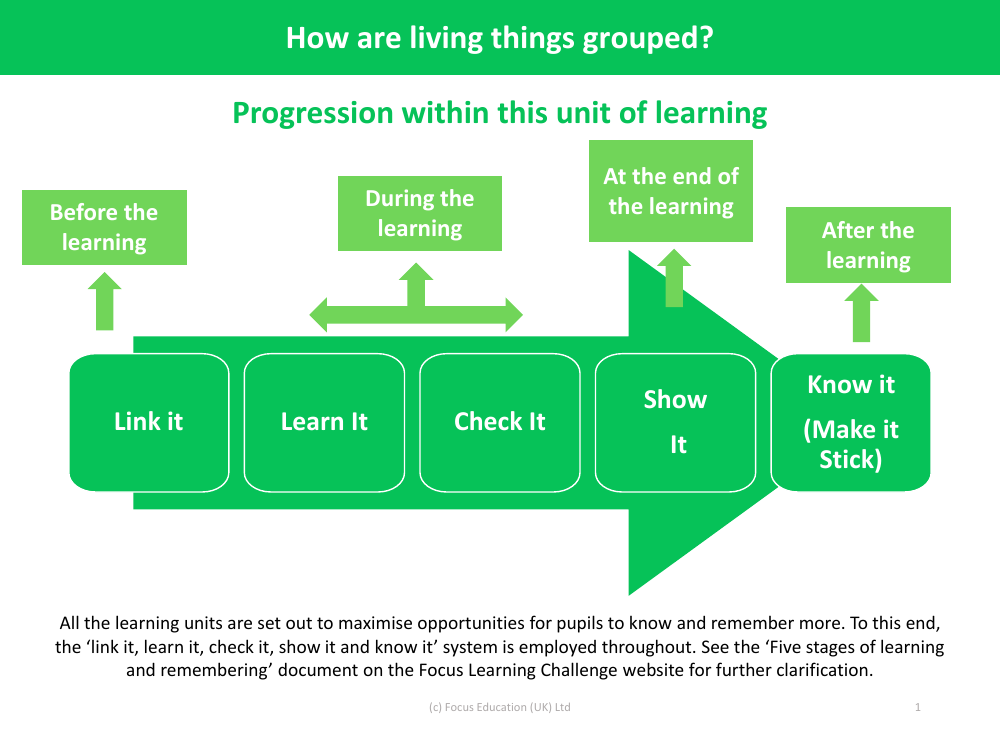Progression pedagogy - Grouping Living Things - Year 4