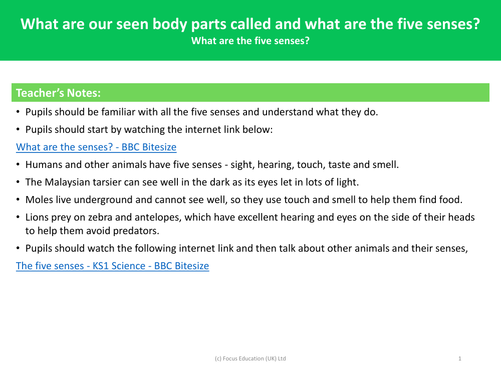 What are the five senses? - Teacher's notes