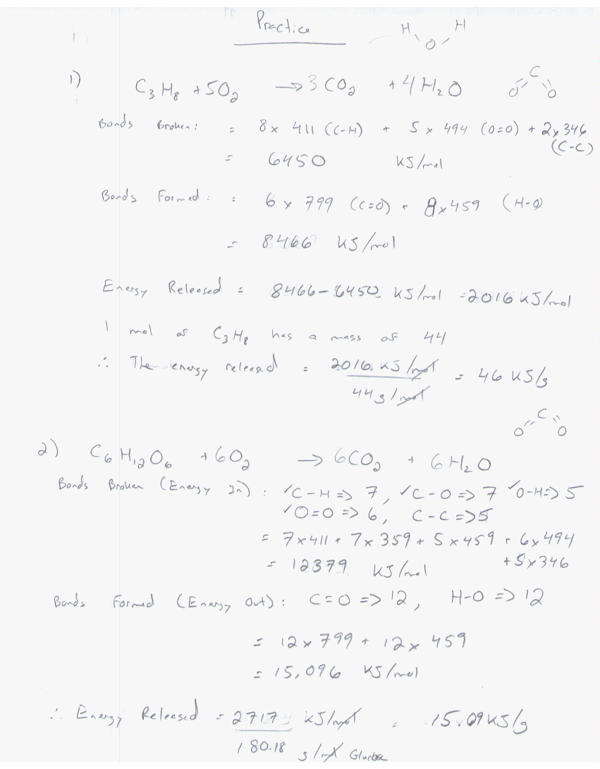 Metabolism - Practice Questions