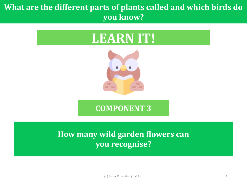 How many wild garden flowers can you recognise? - Presentation