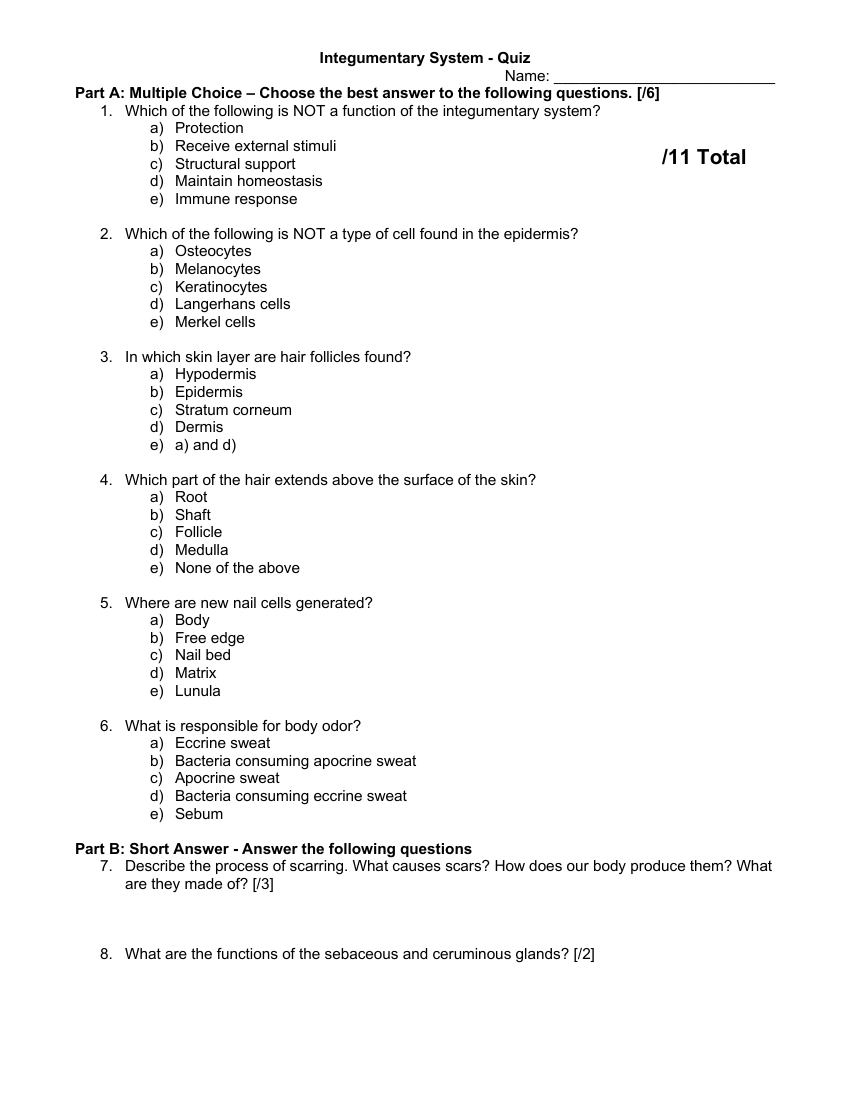 Integumentary System - Quiz