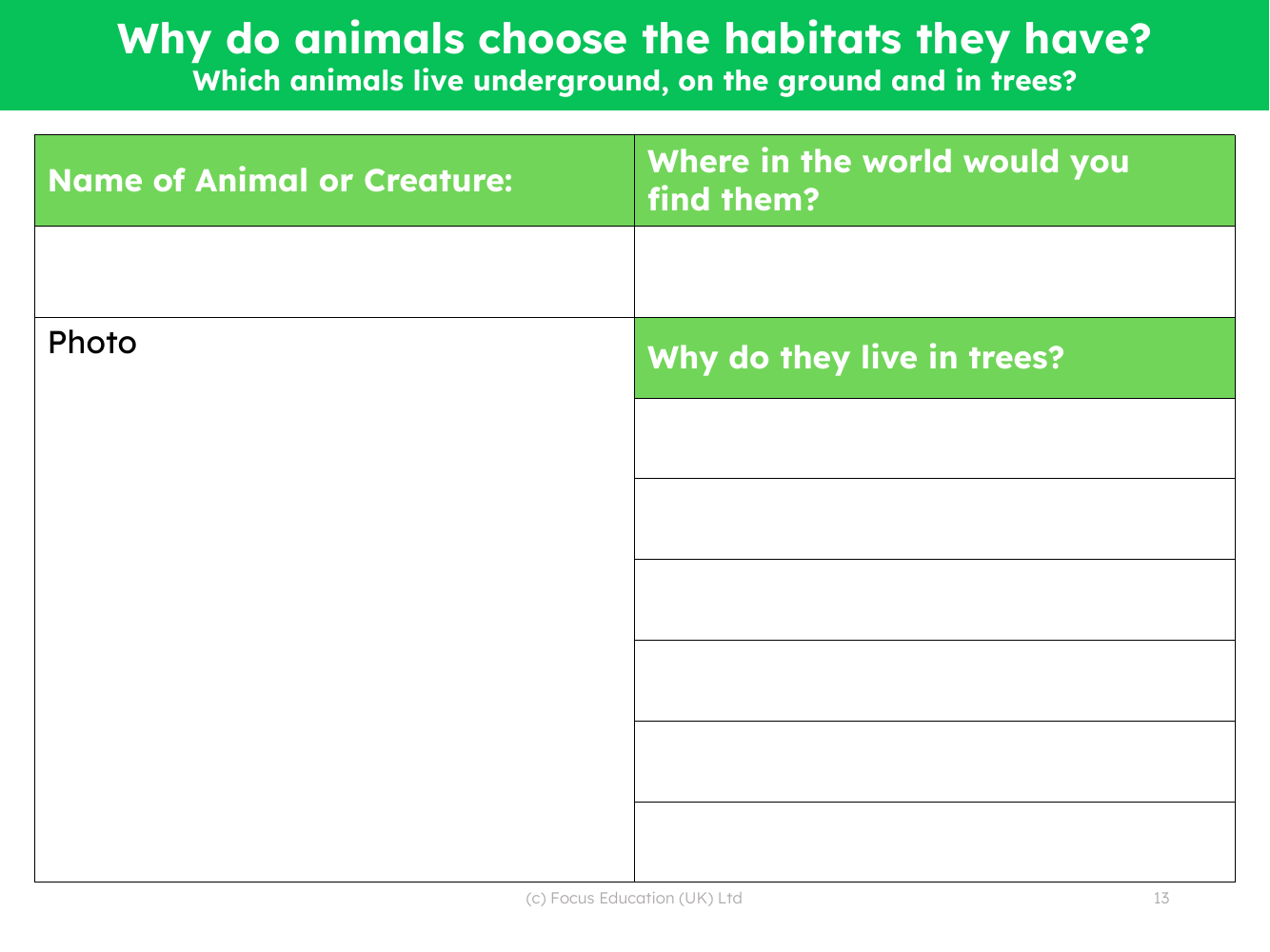 Choose your own animal - Fact file