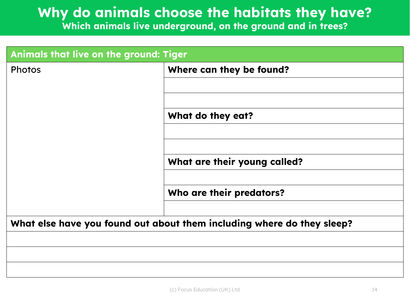 Tiger fact file - Worksheet