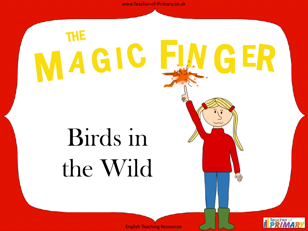 The Magic Finger - Lesson 7: Birds in the Wild - PowerPoint