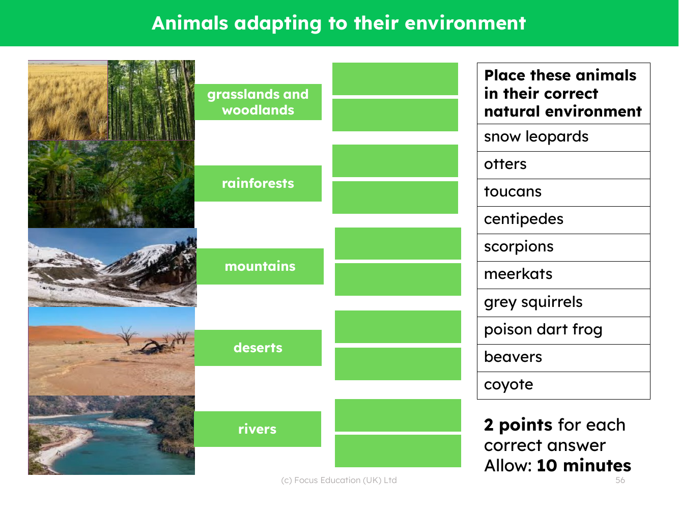 What part did fossils play in helping us understand more about living things that inhabited our Earth millions of years ago? - assessment for learning - worksheet