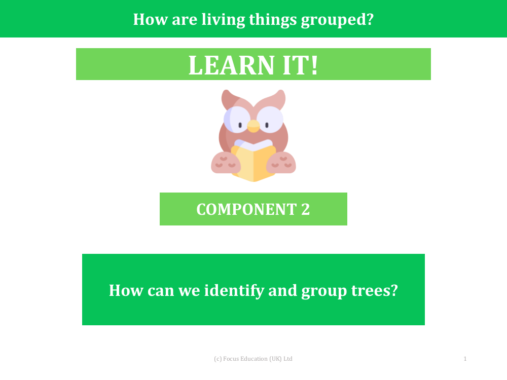 How can we identify and group trees? - Presentation