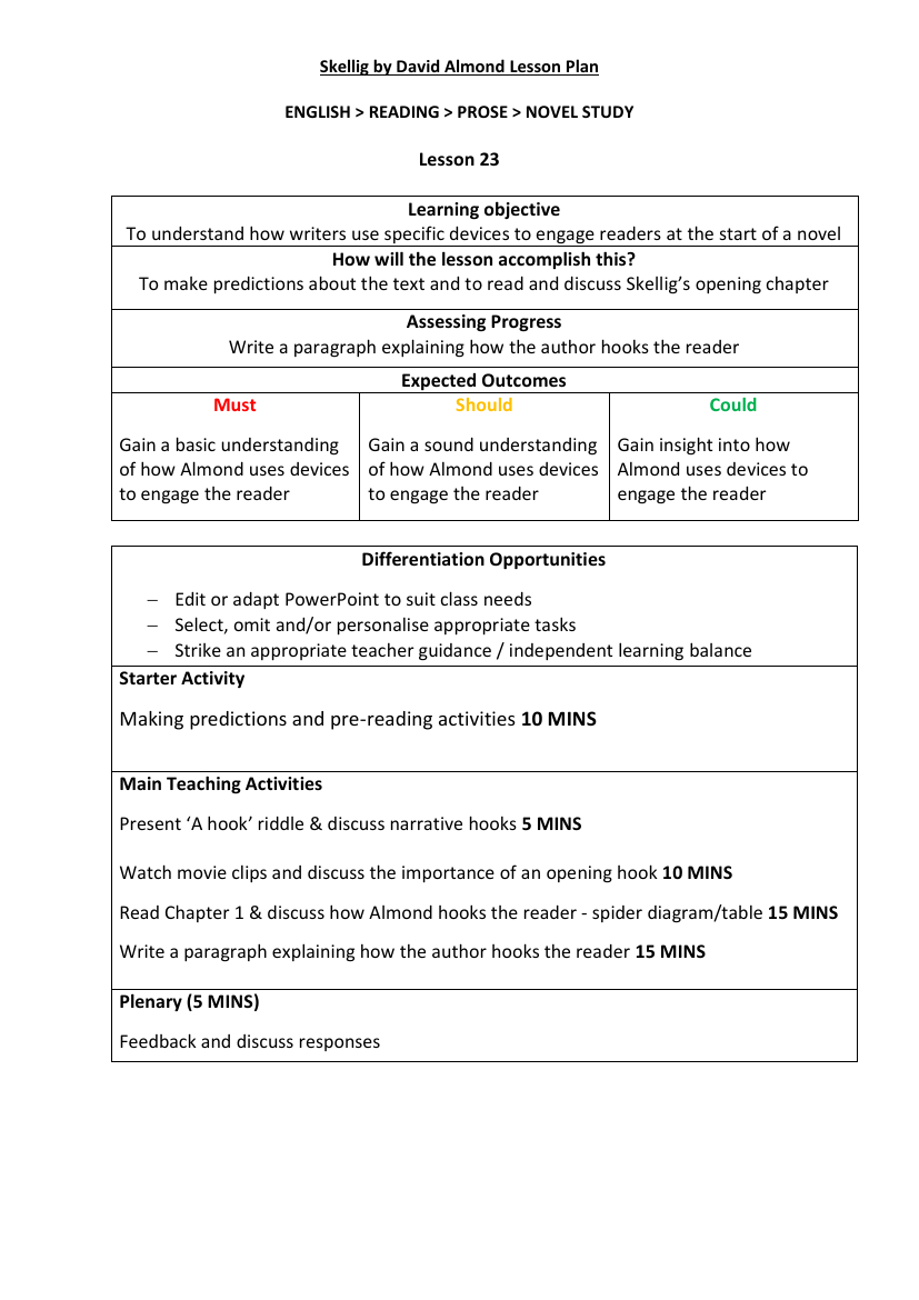 Skellig Lesson 23: Themes - Lesson Plan