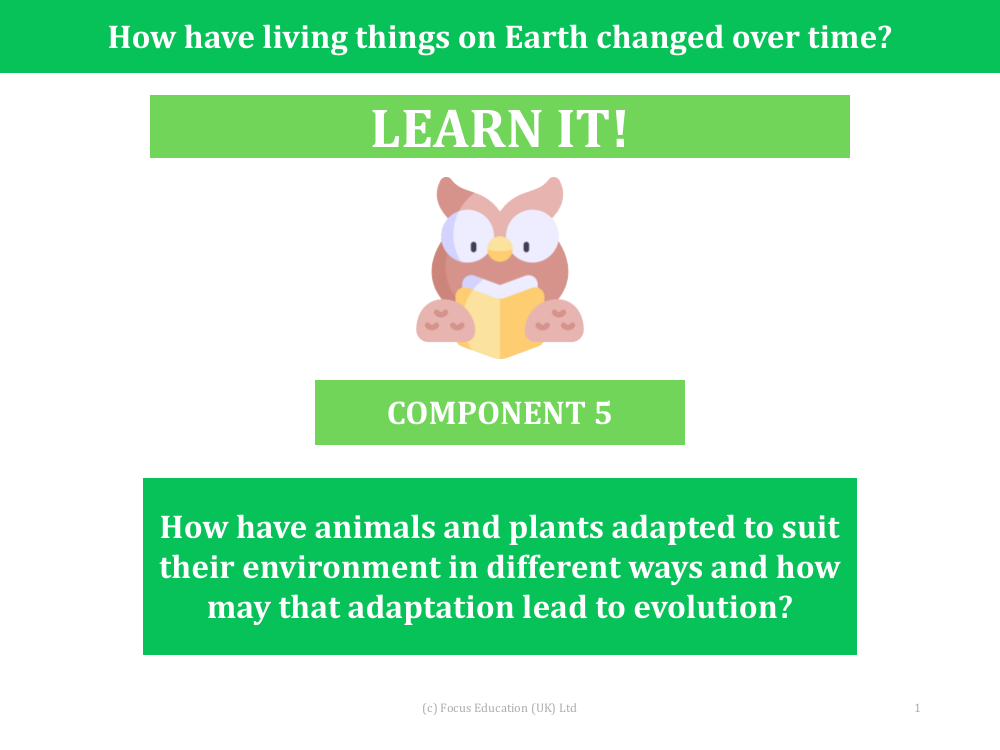 How have animals and plants adapted to suit their environment in different ways and how may that adaptation lead to evolution? -  presentation