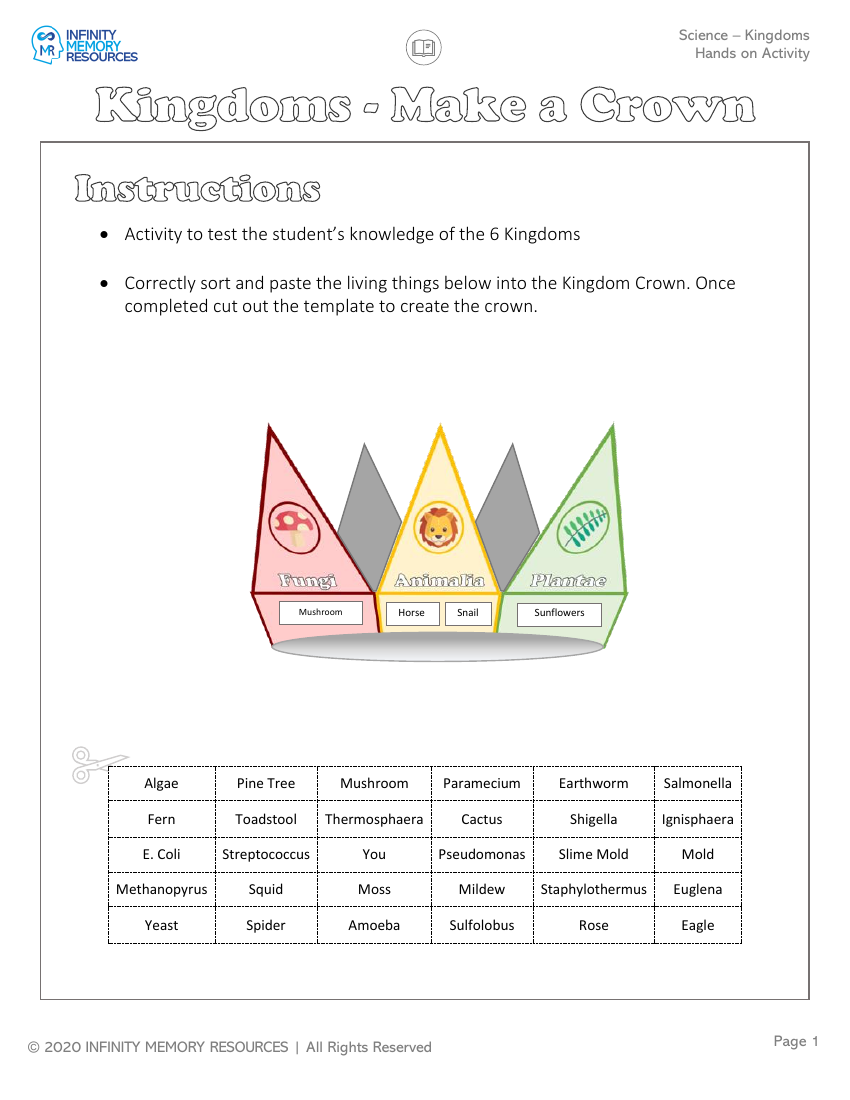 Kingdoms - Hands on Activity