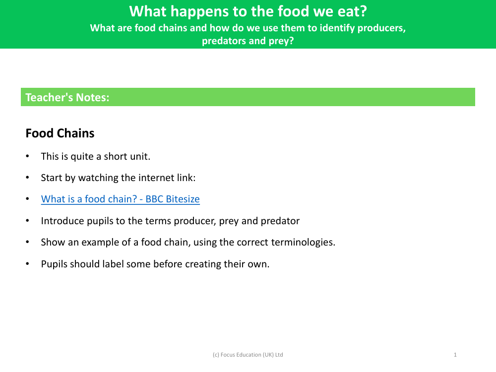What are food chains and how we do use them to identify producers, predators and prey?  - Teacher notes