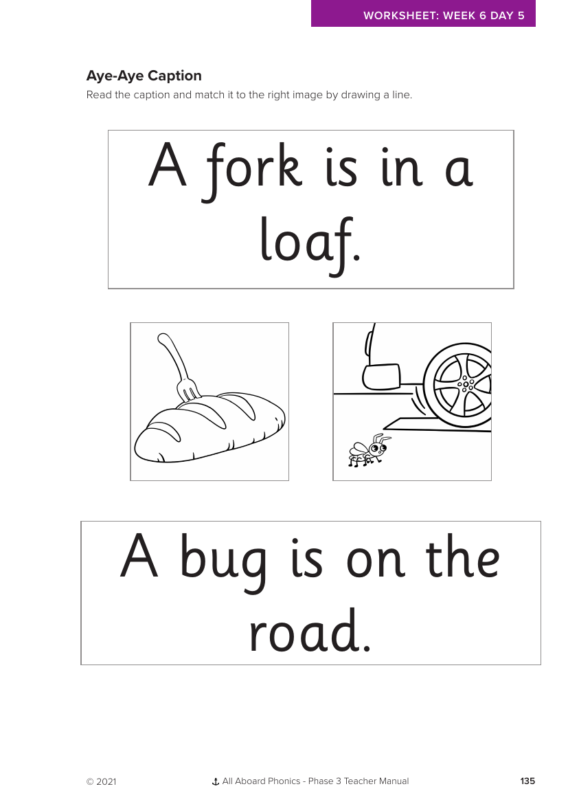 Week 6, lesson 5 Reading sentences Aye-Aye Caption activity - Phonics Phase 3  - Worksheet