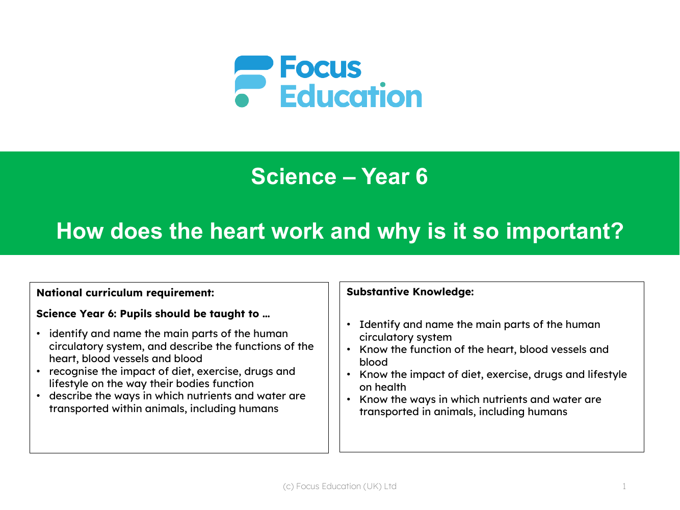 What part does the heart play in the human circulatory system? - Presentation