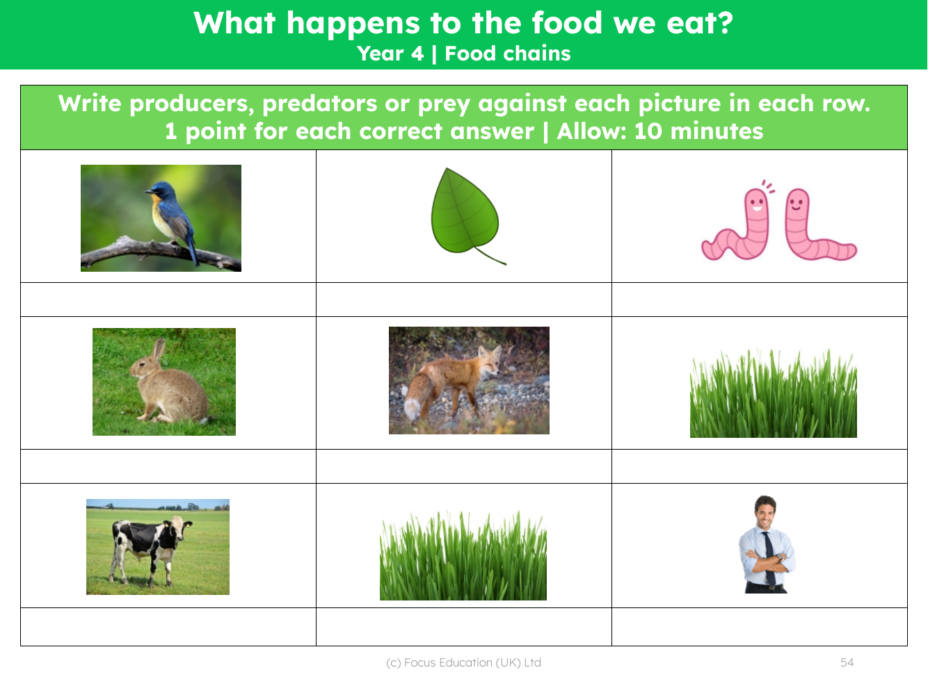 Mini quiz - Producers, Predators or Prey