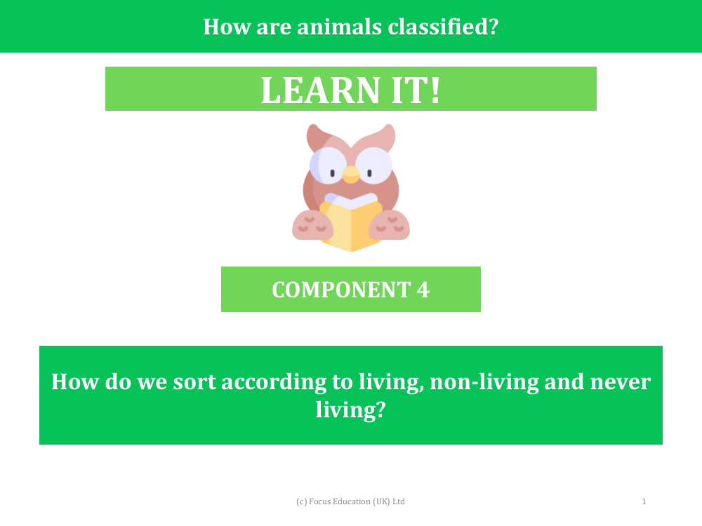 How do we sort according to live, non-living and never living? - Presentation