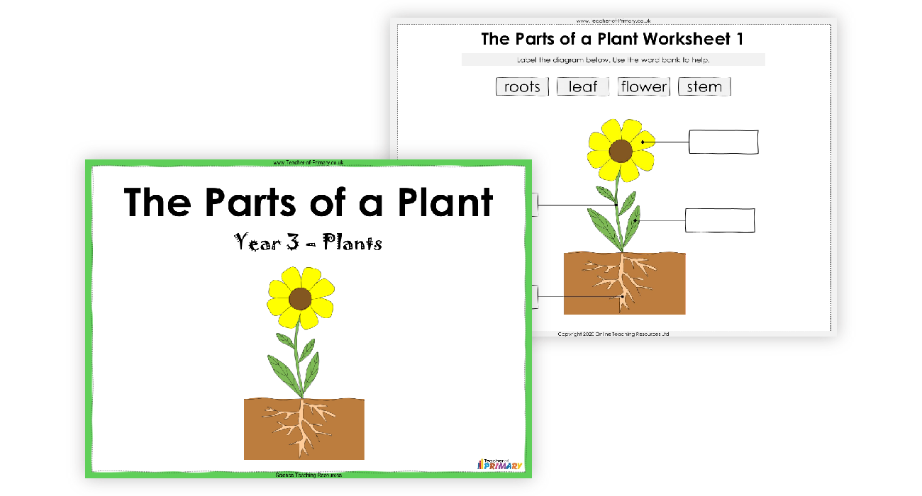 the-parts-of-a-plant-powerpoint-science-year-3