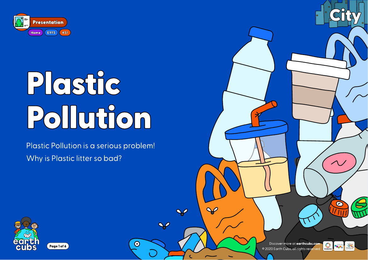 Plastic Pollution Presentation