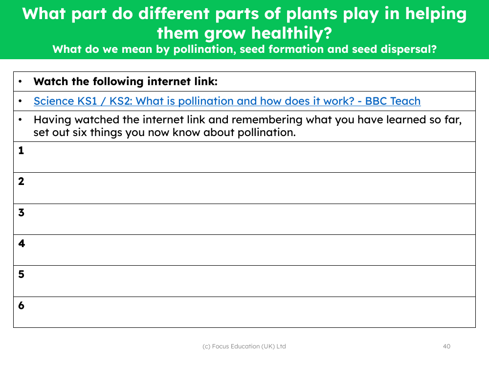 What do you know about pollination? - worksheet