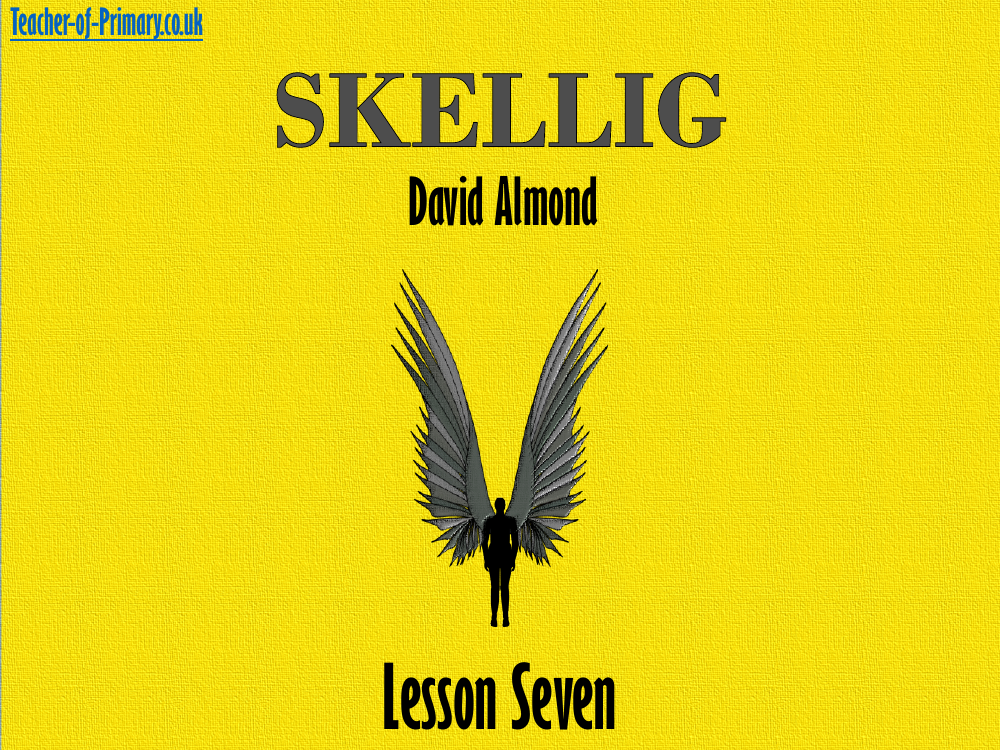 Skellig Lesson 7: Mysterious Girl - PowerPoint