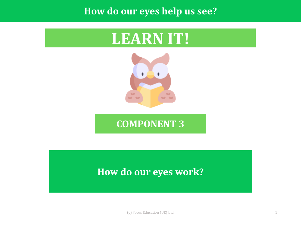 How do our eyes work? - Presentation