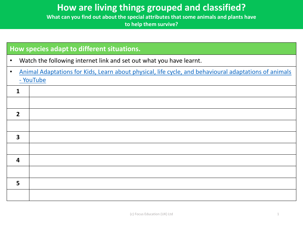 Animal adaptations - Note sheet