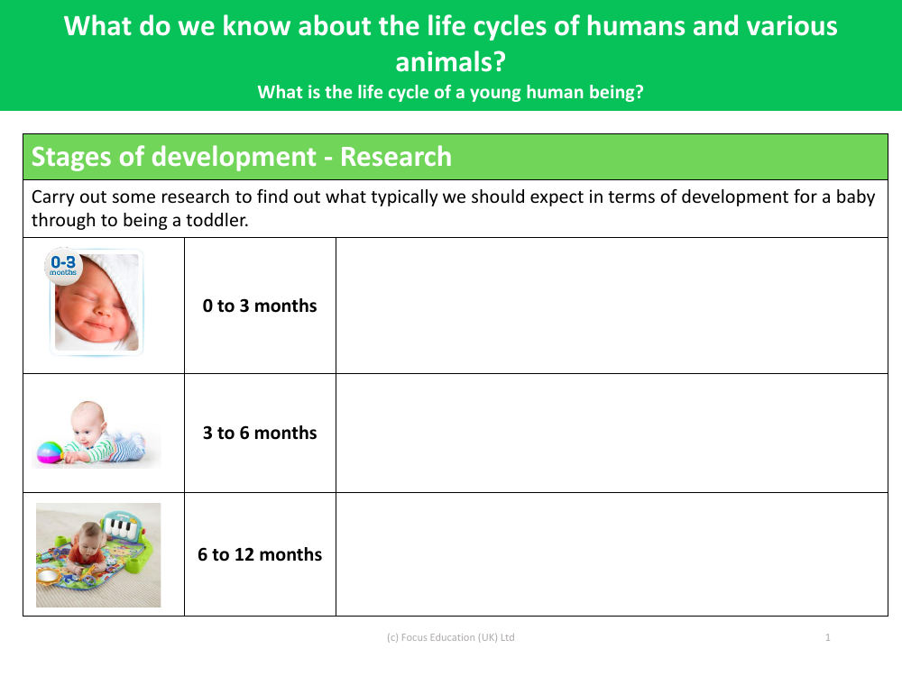 Stages of development - Research - Worksheet - Changes as you grow - Year 5