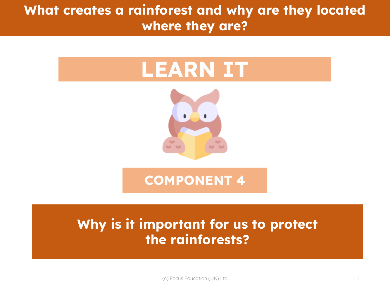 Why is it important for us to protect the rainforests? - Presentation