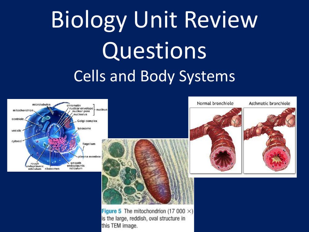 Cells and Body Systems - Unit Review Questions with Answers