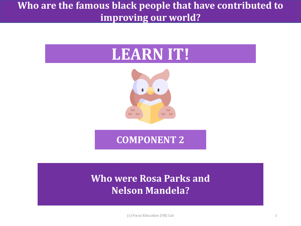 Who were Rosa Parks and Nelson Mandela? - Presentation