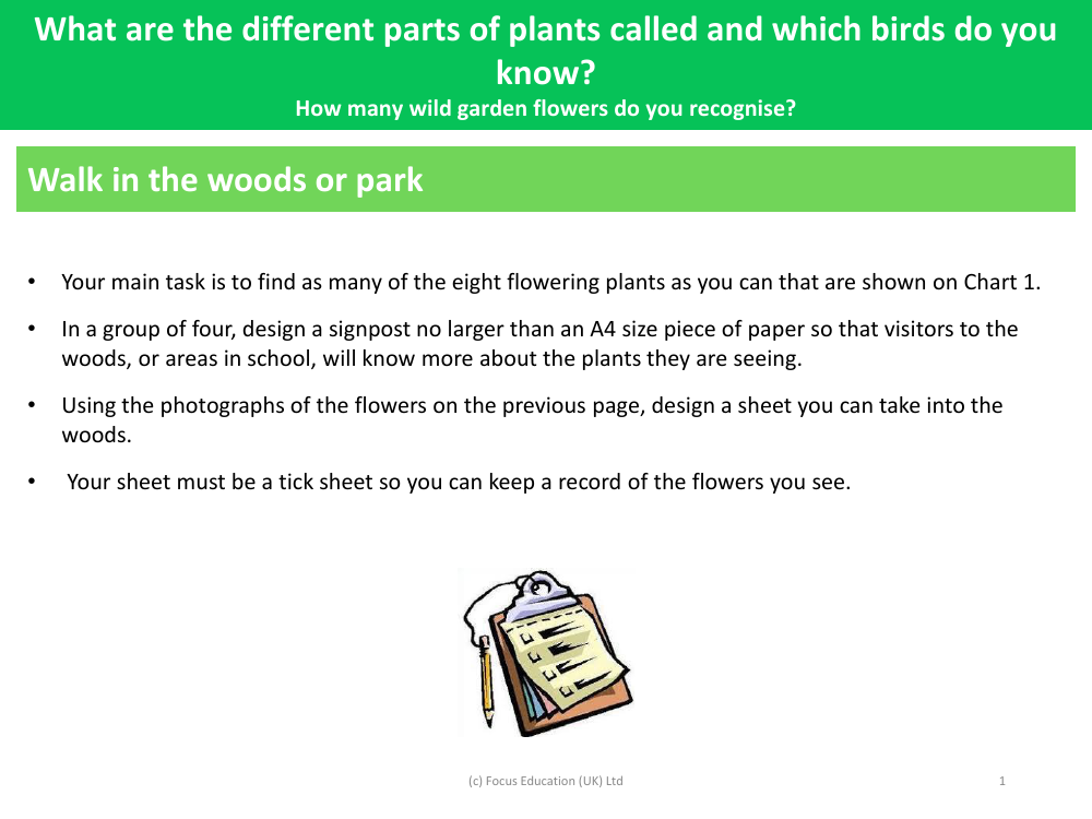 Walk in the woods or park - Activity - Year 1