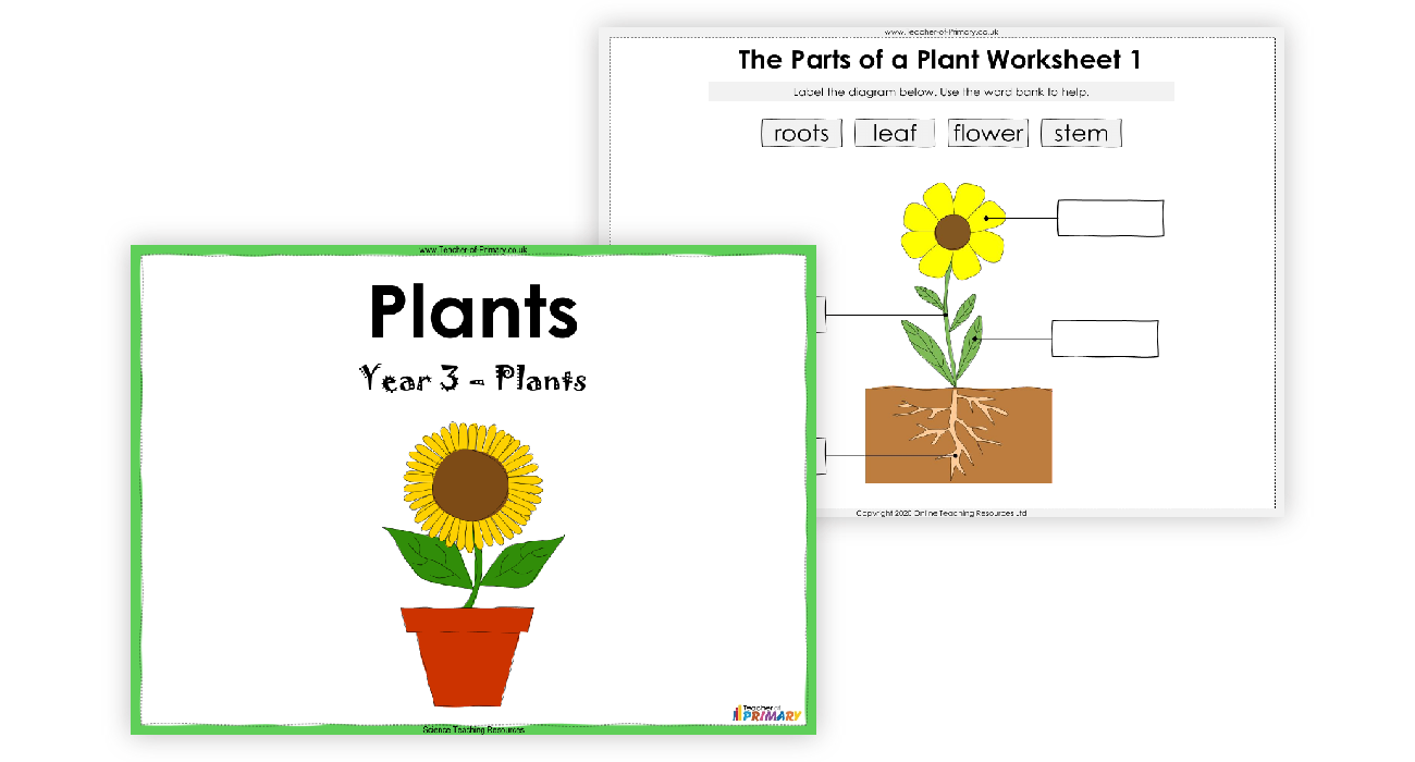 plants-powerpoint-science-year-3