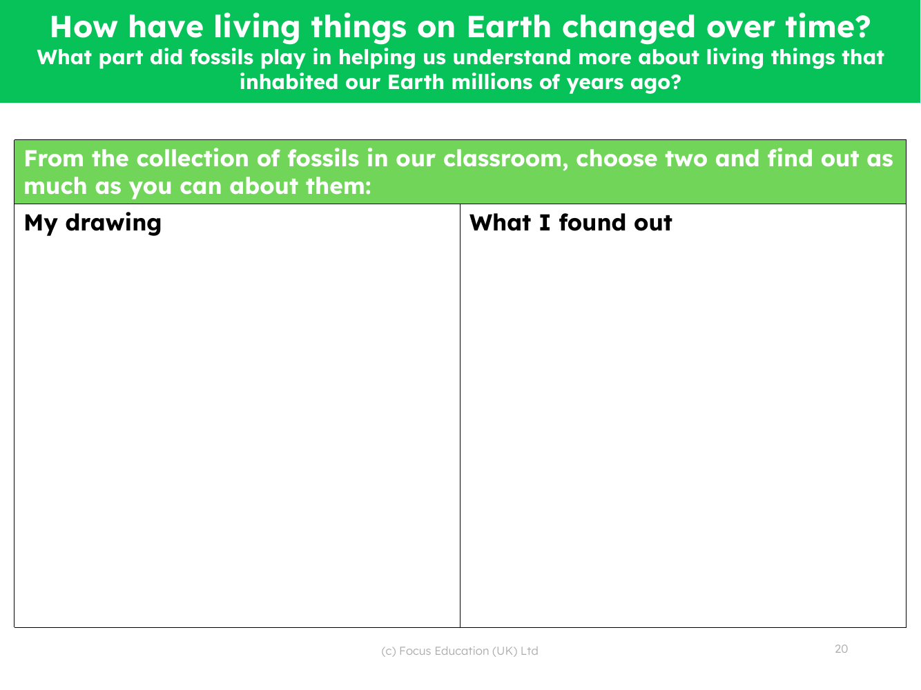 What part did fossils play in helping us understand more about living things that in habited our Earth millions of years ago? - Fossil research task - worksheet