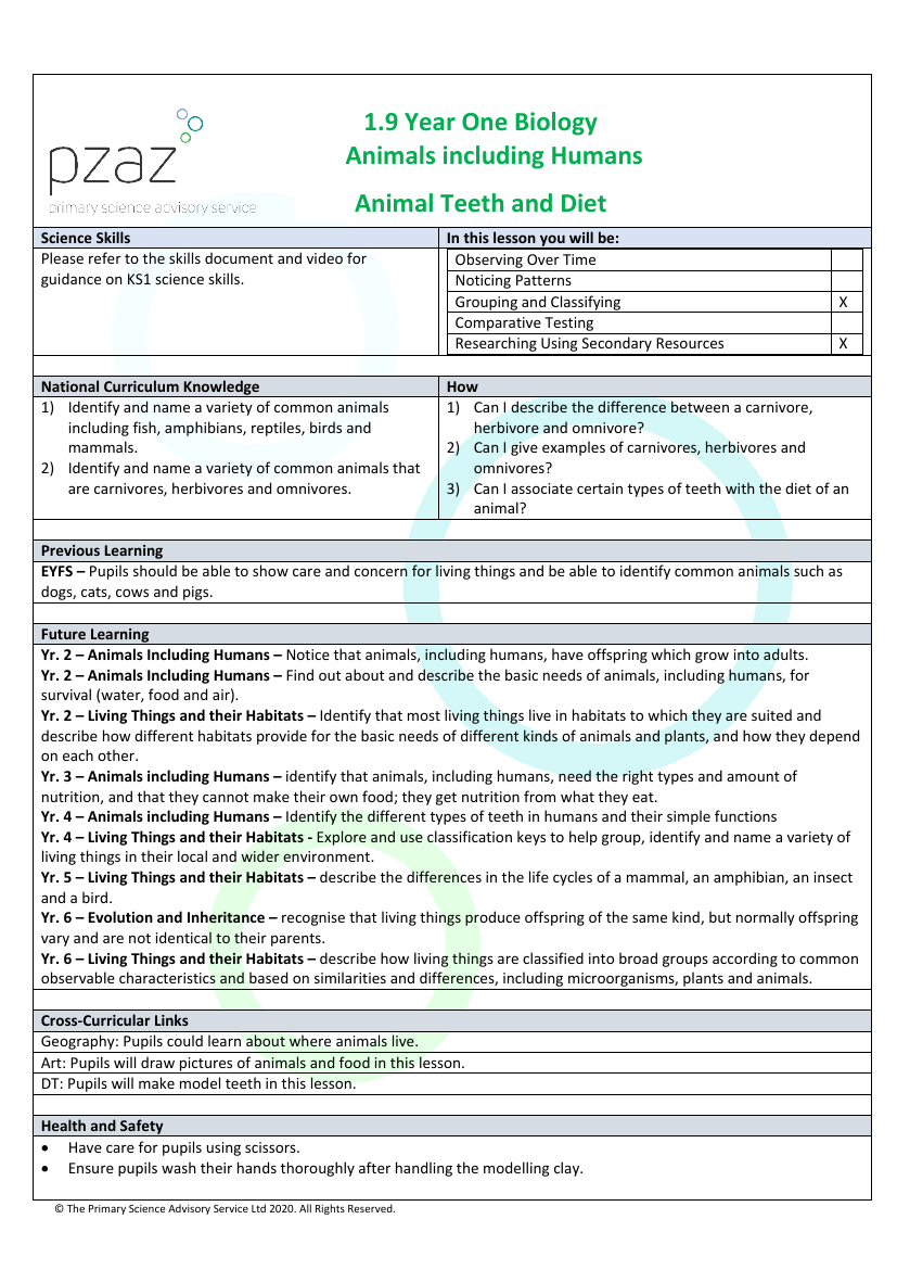 Animal Diets - Lesson Plan | Science Year 1