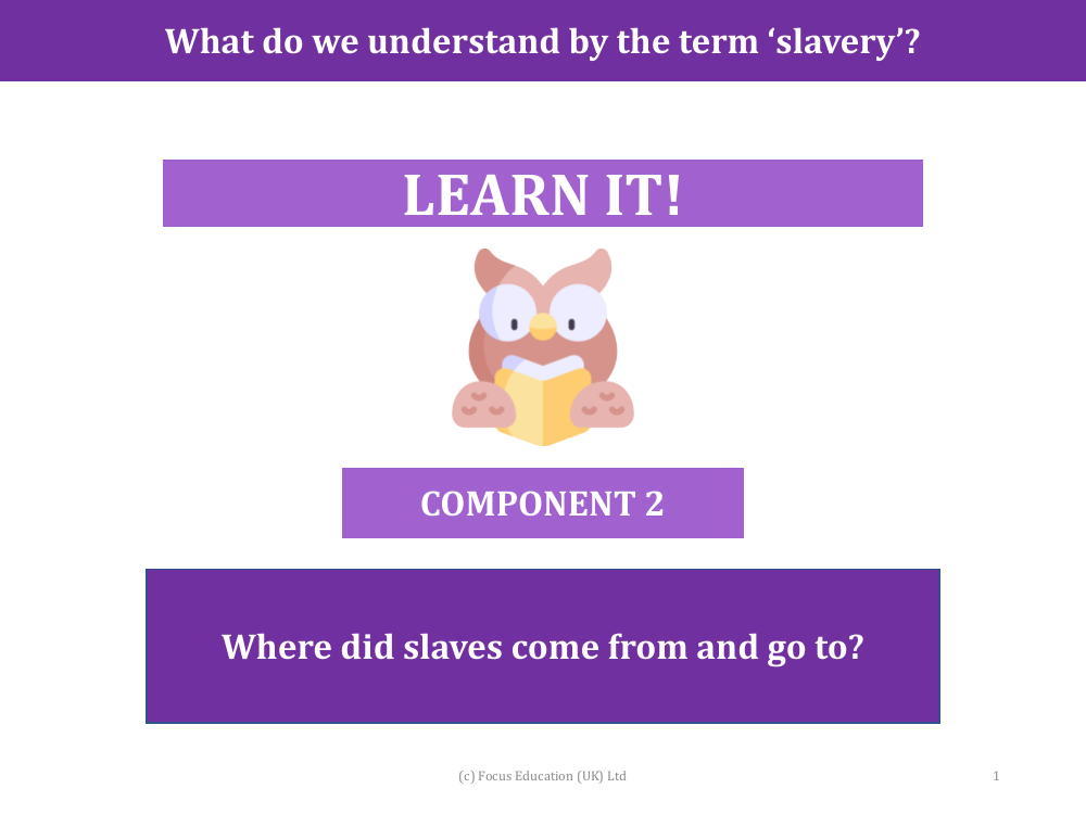 Where did the slaves come from and go to? - Presentation