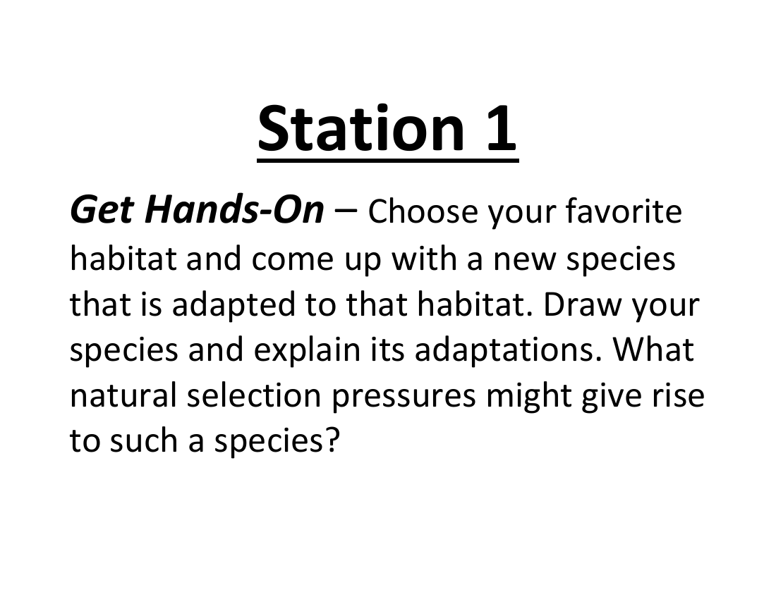 Introduction to Evolution - Lab Station Cards