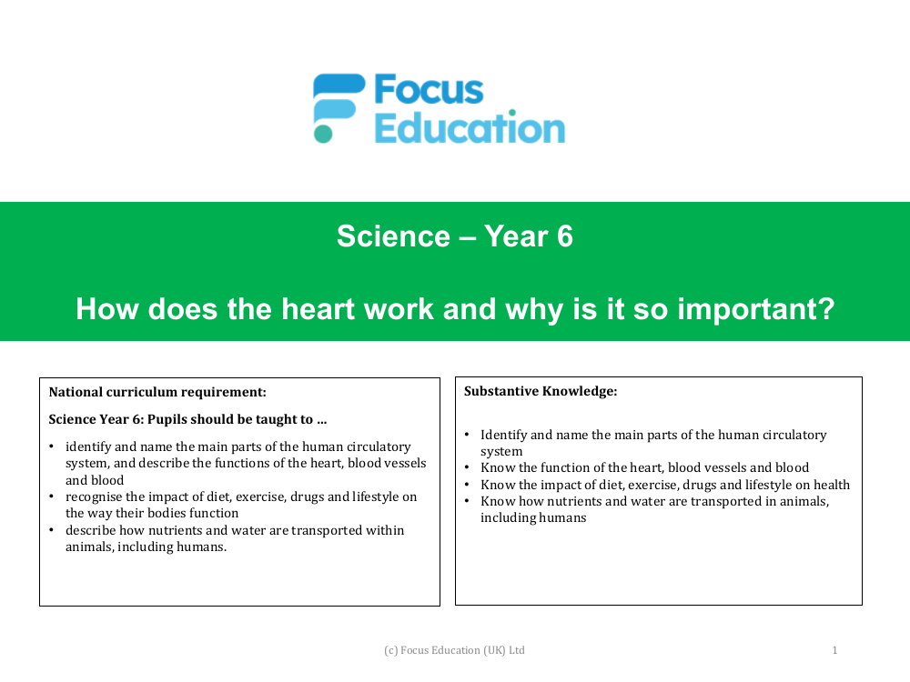 What part does the heart play in the human circulatory system? - Presentation