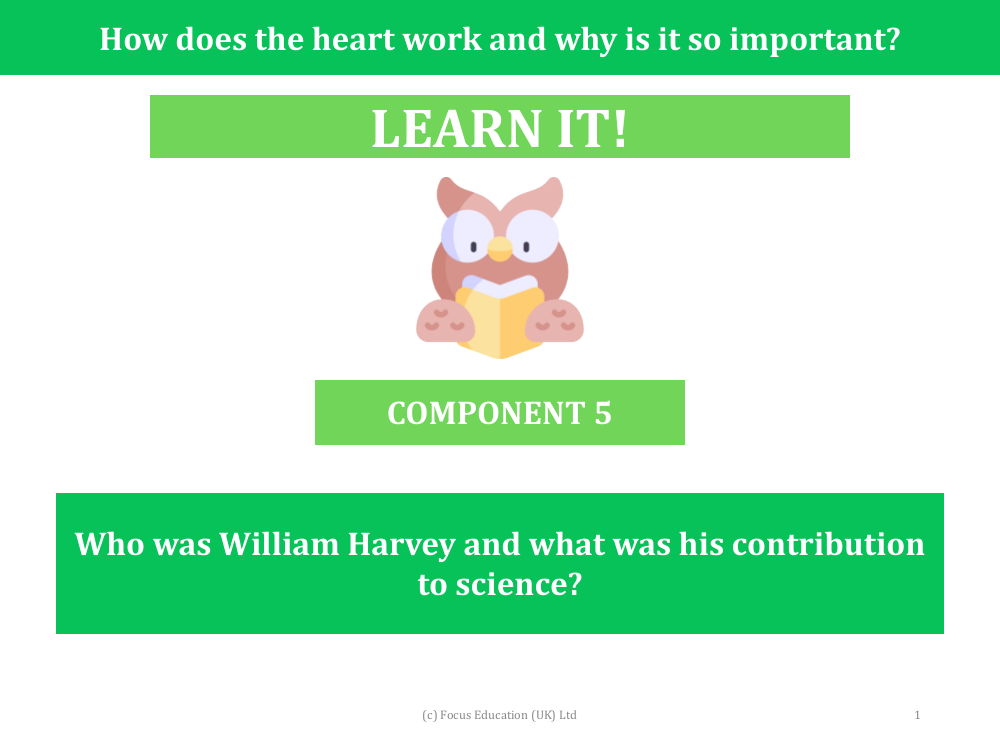 Who was William Harvey and what was his contribution to science? - Presentation