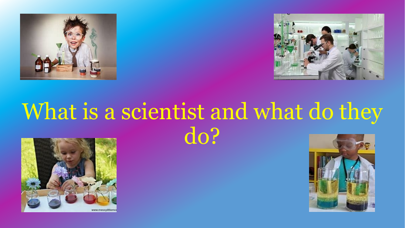 What is a Scientist