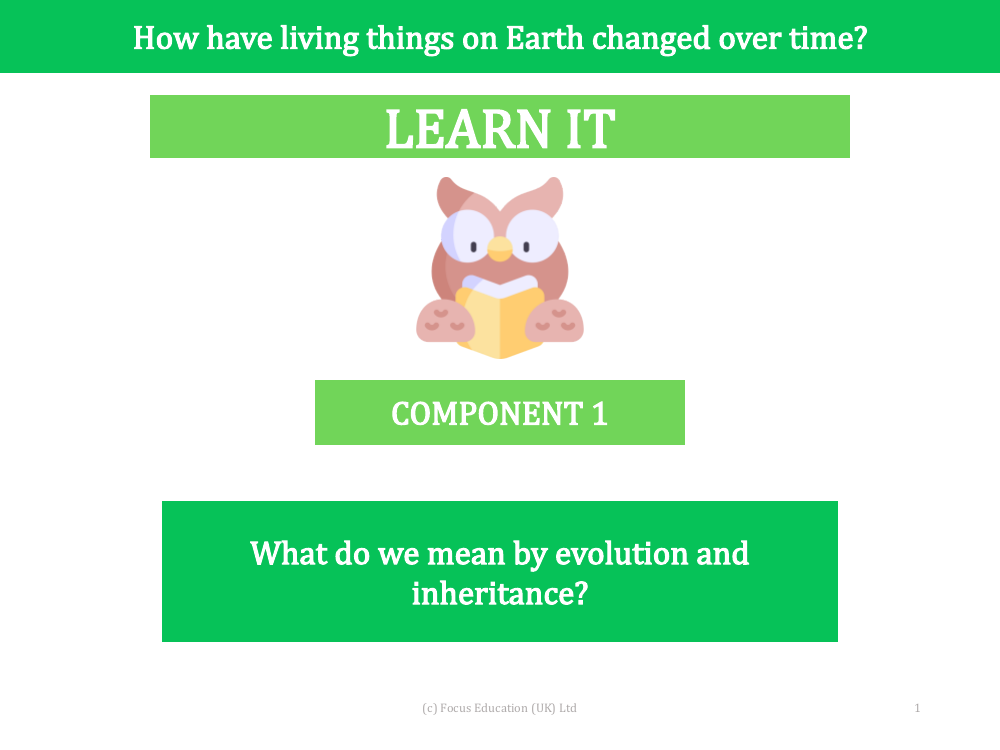 What do we mean by evolution and inheritance - presentation