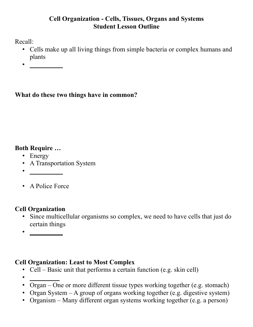 Cell Organization - Student Lesson Outline