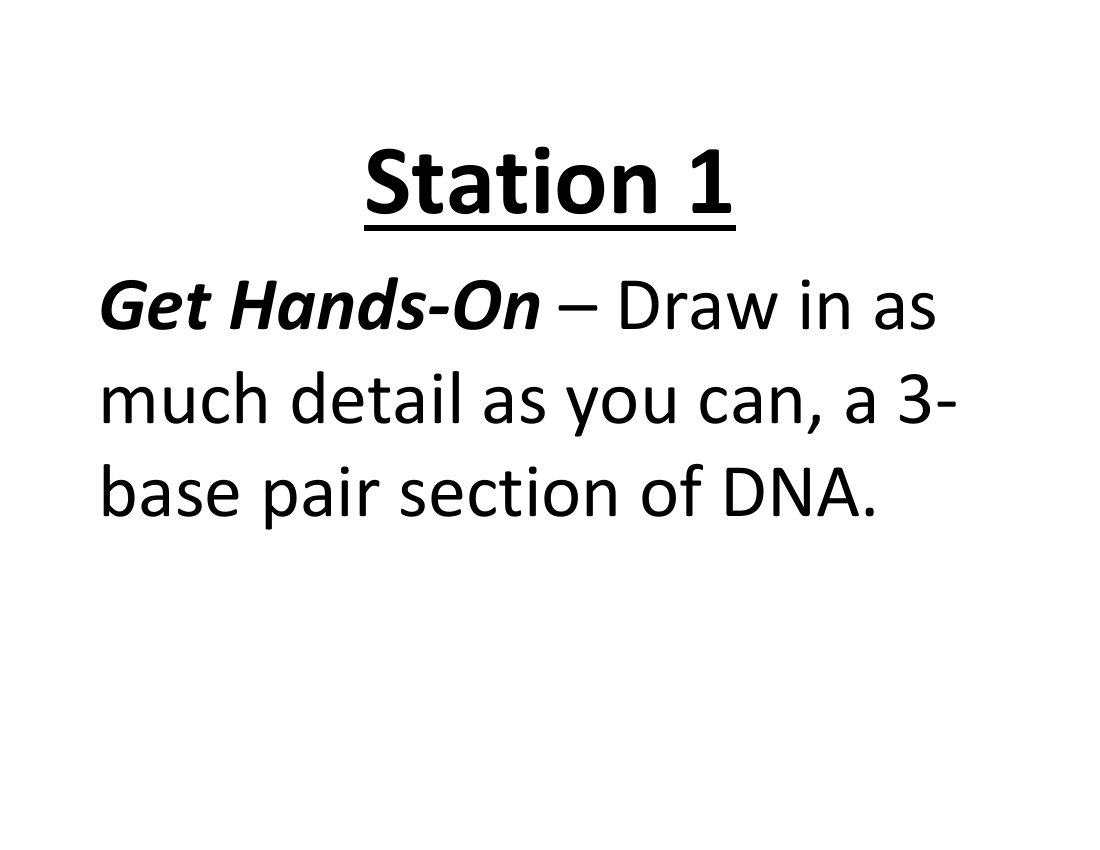 genetic-material-dna-and-rna-lab-station-cards-science-8th-grade