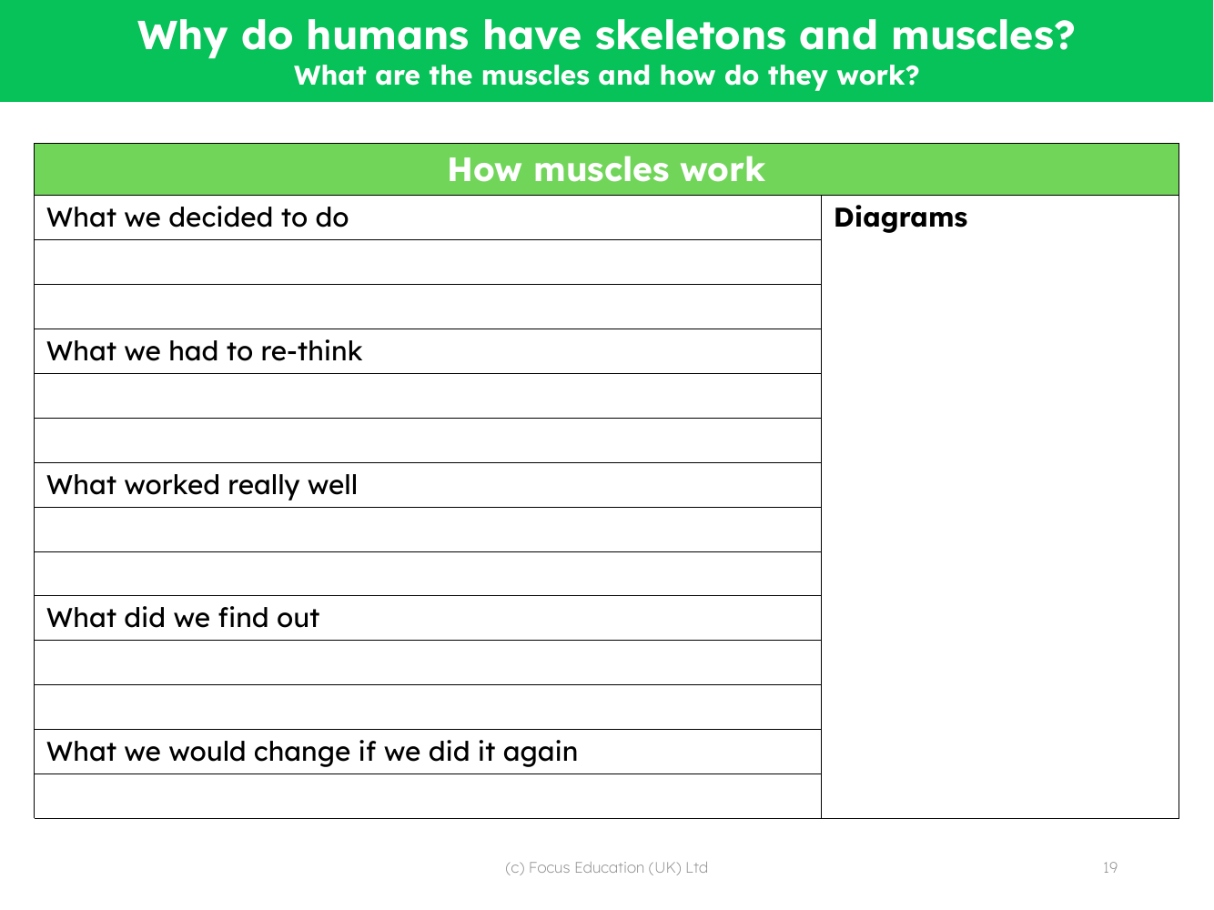 How muscles work - Experiment write up