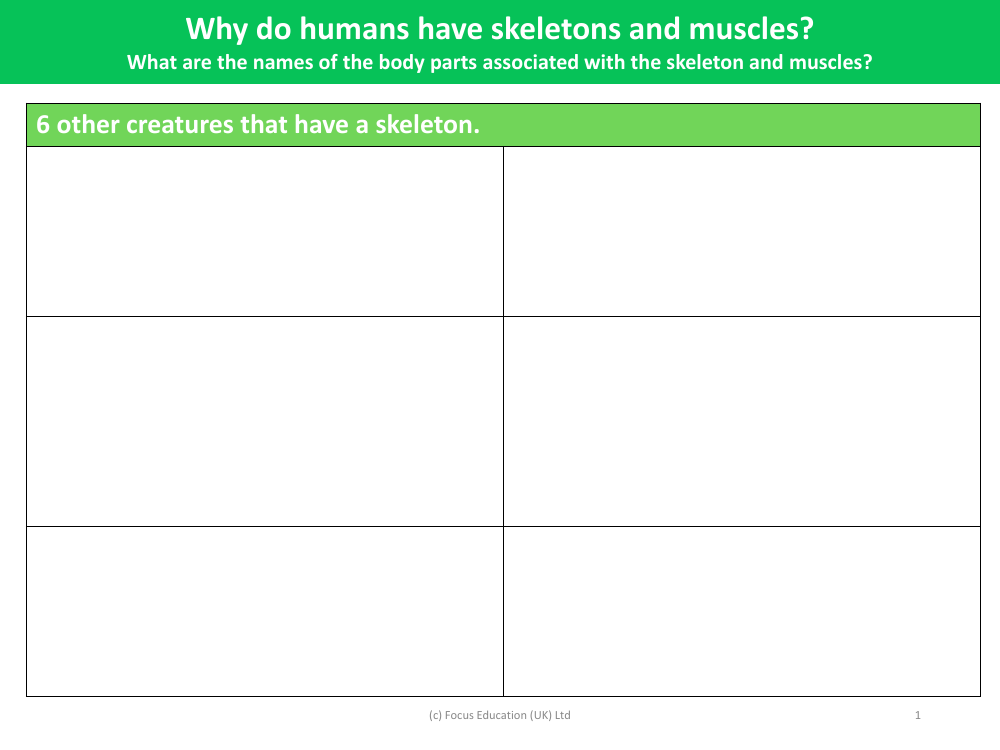 Other creatures that have a skeleton - Worksheet