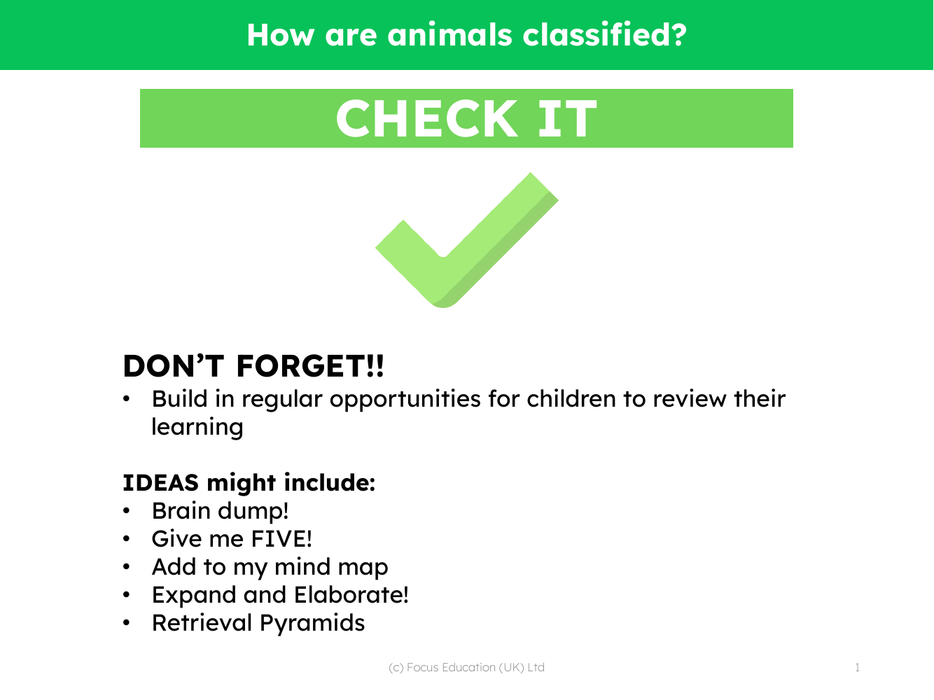 Check it! - How are Animals Classified - Kindergarten