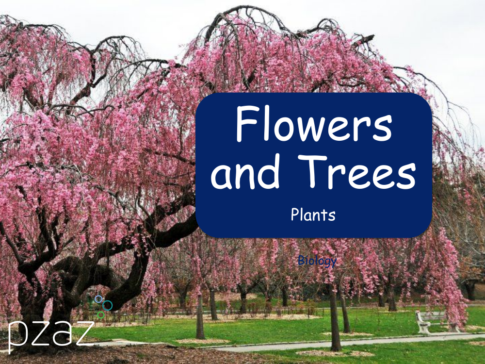 Flowers and Trees - Presentation