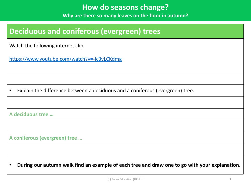 Deciduous and coniferous (evergreen) trees - Worksheet - Year 1