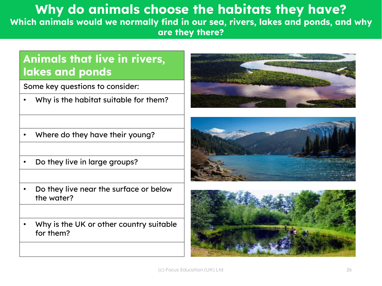 Animals that live in rivers, lakes and ponds - Worksheet | Science Year 2